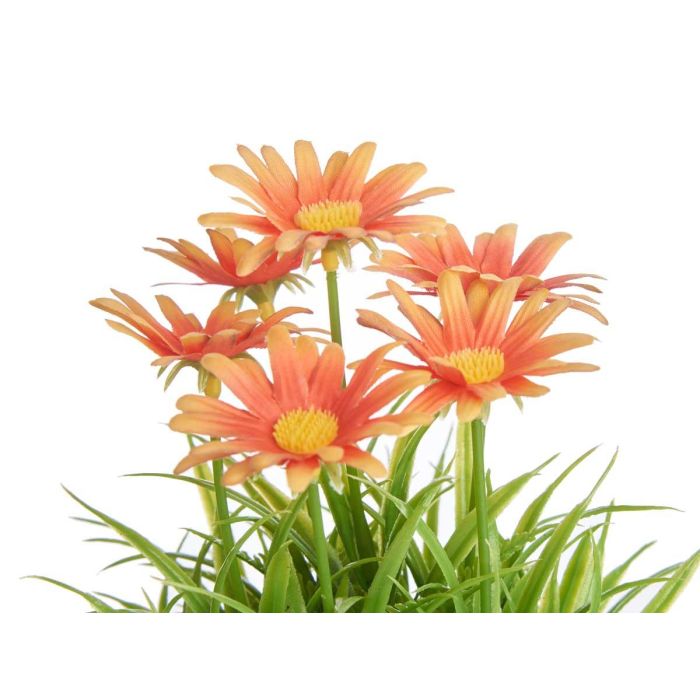 Maceta Margarita Surtidos Ibergarden 14x21x14cm (24 Unidades) 2 Maceta Margarita Surtidos Ibergarden 14x21x14cm (24 Unidades) 2