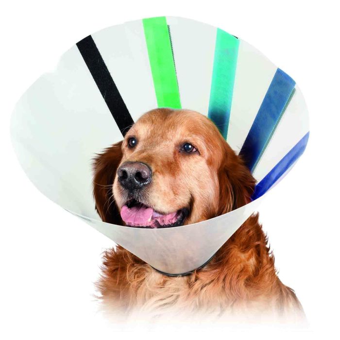 KVP Ez Clear Collar Isabelino Transparente Ligero con Velcro Multicolor para Perros/Gatos, Cuello 25-32cm, Prof. 18cm 0 KVP Ez Clear Collar Isabelino Transparente Ligero con Velcro Multicolor para Perros/Gatos, Cuello 25-32cm, Prof. 18cm 0
