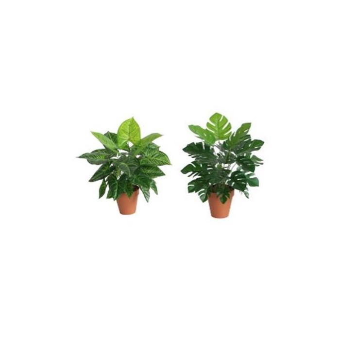 Planta Tropical DKD Home Decor Verde 20 x 45 x 20 cm (6 Unidades) Planta Tropical DKD Home Decor Verde 20 x 45 x 20 cm (6 Unidades)