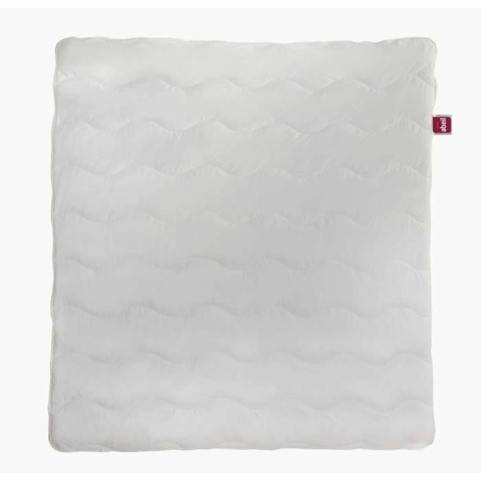 Abeil Edredón ligero ICEBERG de Fibra Sintética 200 g/m² Lavable ideal para Verano o Habitaciones Cálidas 140x200 cm 1 Abeil Edredón ligero ICEBERG de Fibra Sintética 200 g/m² Lavable ideal para Verano o Habitaciones Cálidas 140x200 cm 1