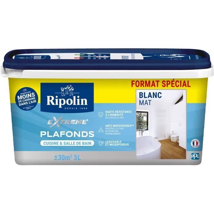 Protección Techo Ripolin Extreme Mojado 3L