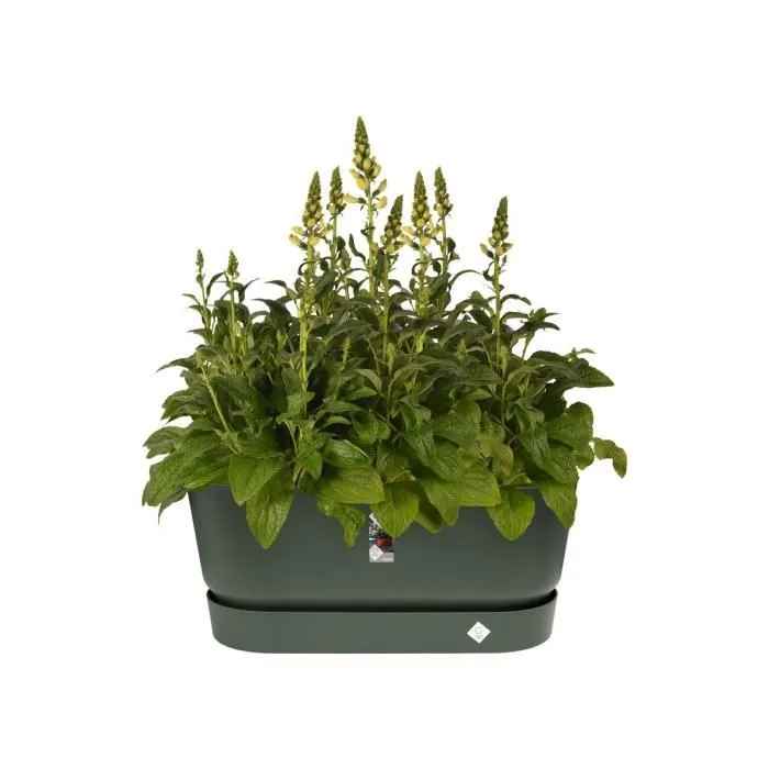 Elho Greenville Terrase 80 Ruedas Jardinera Verde Hoja L 35 x W 78 x H 33,5 cm 1