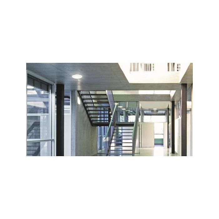 Steinel RS PRO P1 Lámpara LED Plana de Techo/Pared, 9.5W, 1010 lm, IP54, Blanco Neutro (4000K), Incluye BWM 3 Steinel RS PRO P1 Lámpara LED Plana de Techo/Pared, 9.5W, 1010 lm, IP54, Blanco Neutro (4000K), Incluye BWM 3