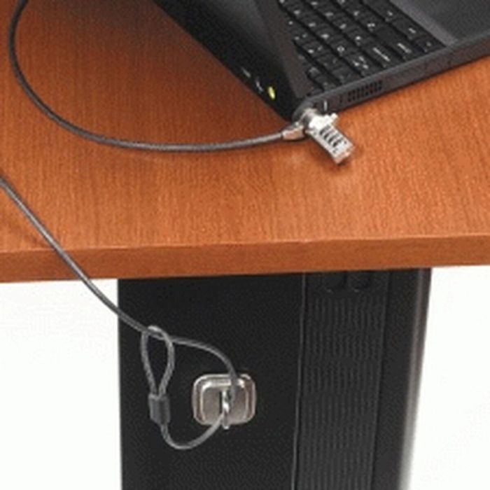 Cable de Seguridad Targus PA410E 2,1 m 10