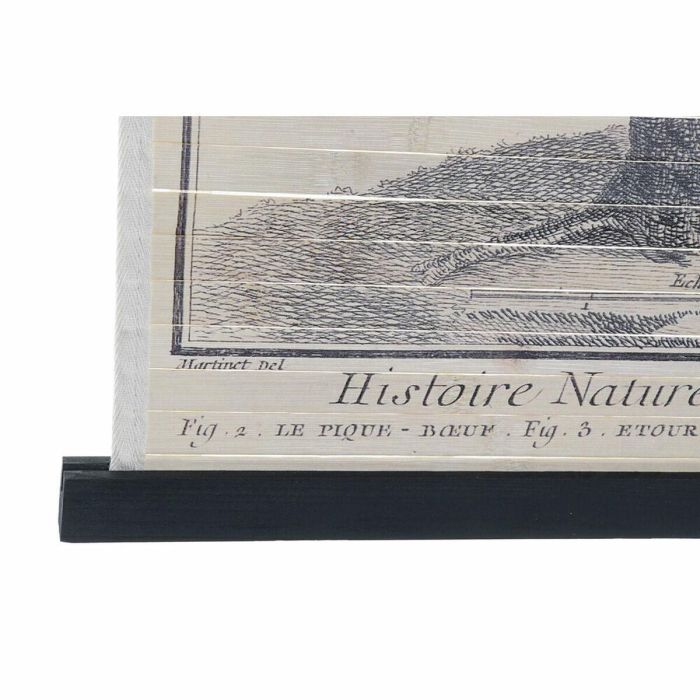 Lienzo DKD Home Decor Pájaros 60 x 2 x 90 cm Cottage (4 Piezas) 2