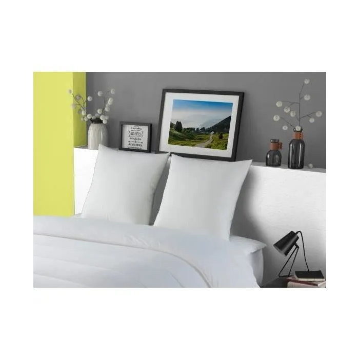 Dodo MORZINE Almohada de plumas de ganso y plumón 65x65cm Anti-Acaros Fabricación Francesa 2