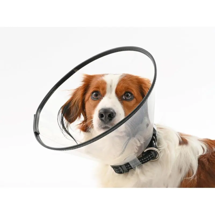 Buster Comfort Collar Juego 7,5-30 cm 7 Unidades Kruuse