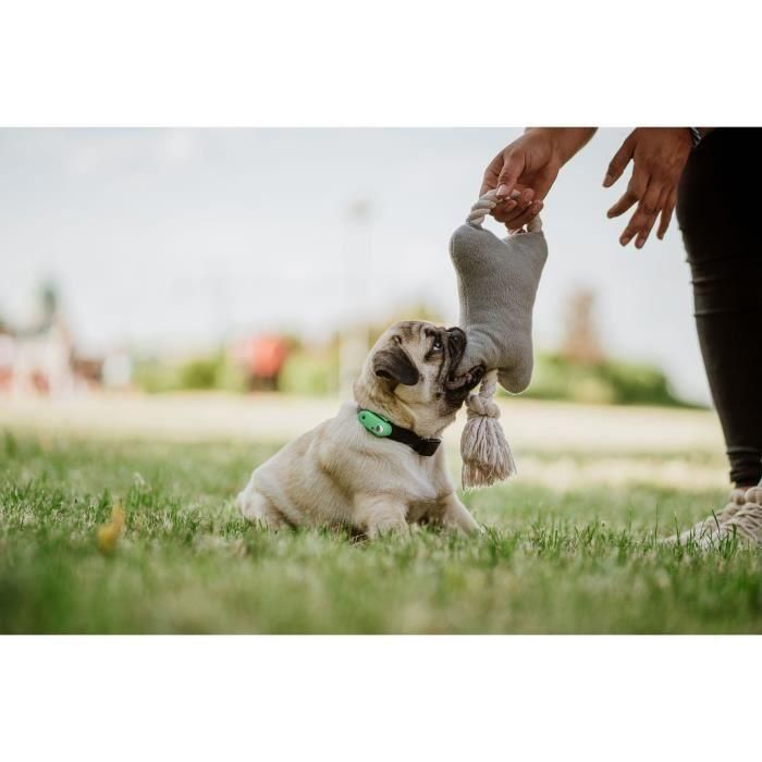 Tickless TIC5999566451683 Repelente Ultrasónico Mini para Perros y Gatos - Protección contra Pulgas y Garrapatas - Mentha Green 4