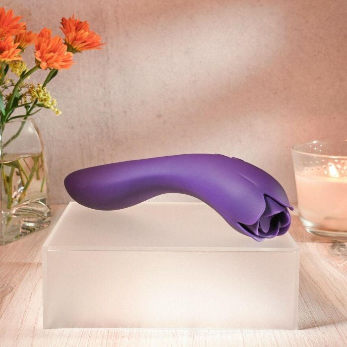Vibrador Evolved Morado 22 Vibrador Evolved Morado 22
