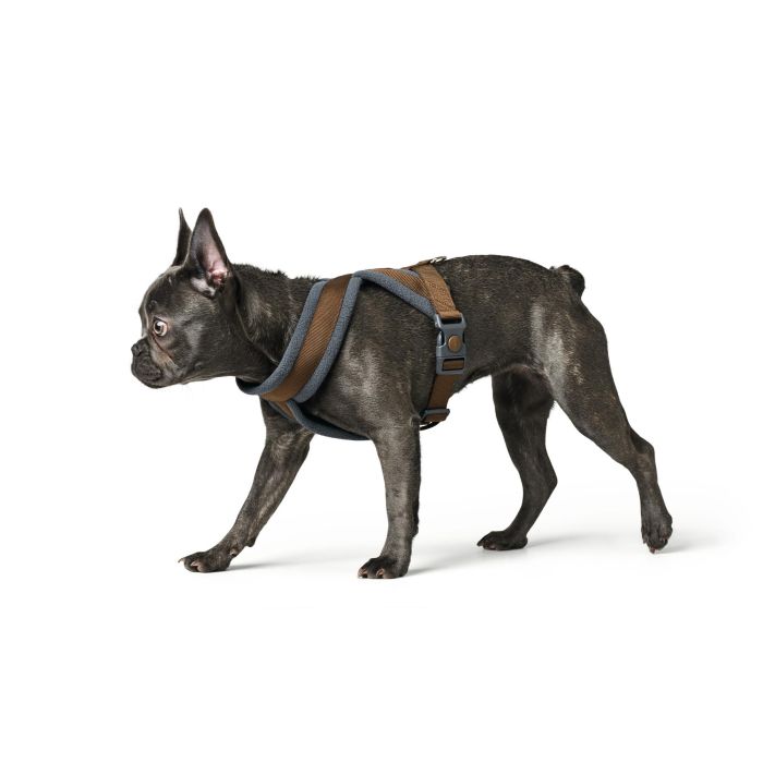 Hunter L/1 Arnés London Comfort para Perro Marrón, Pecho 68-91 cm, Cuello 64 cm, Poliéster Suave Ajustable con Cierre de Seguridad 3