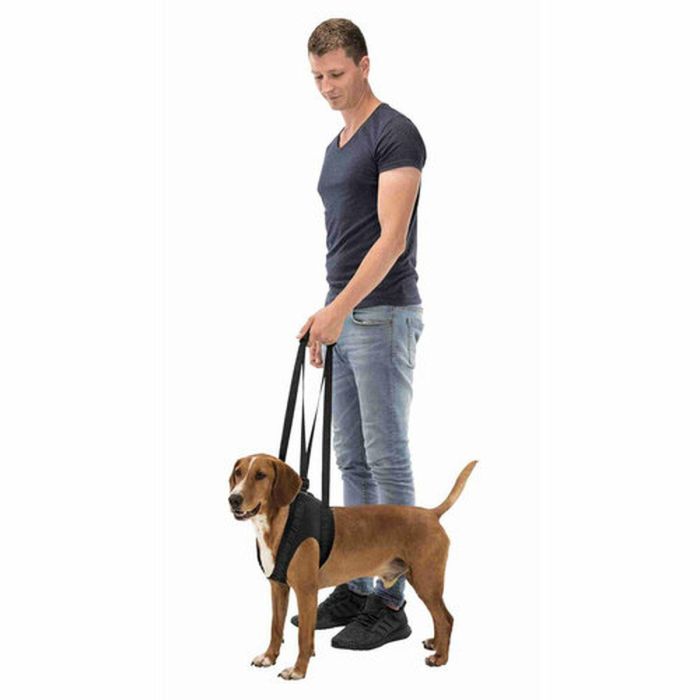 Andador para perros Trixie 3 Andador para perros Trixie 3