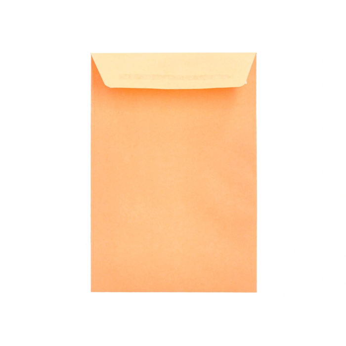 Liderpapel Bolsa N.0 Cel Caña Sobres Salarios 100x145mm Tira Silicona Caja 1000 Unidades 7