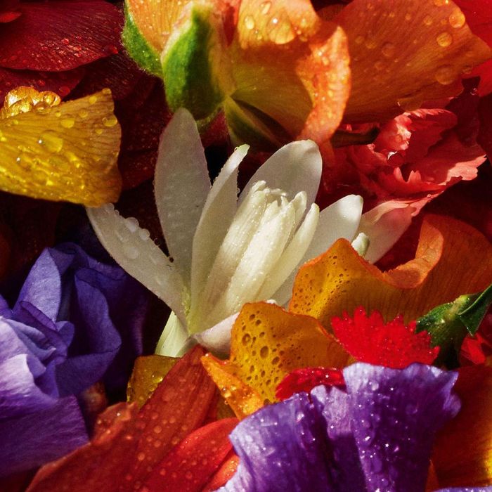 Guerlain Aqua Allegoria Flora Bloom Forte Recarga para Mujer Eau de Parfum 200 ml 3 Guerlain Aqua Allegoria Flora Bloom Forte Recarga para Mujer Eau de Parfum 200 ml 3