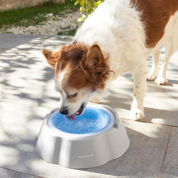 Bebedero Refrescante para Mascotas Freshty InnovaGoods 8 Bebedero Refrescante para Mascotas Freshty InnovaGoods 8