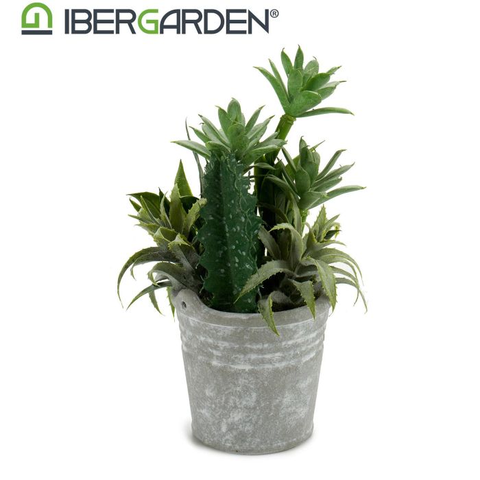Maceta Cactus Plantas Redonda Surtido 2 Ibergarden 15X24CM (12 Unidades) 2 Maceta Cactus Plantas Redonda Surtido 2 Ibergarden 15X24CM (12 Unidades) 2