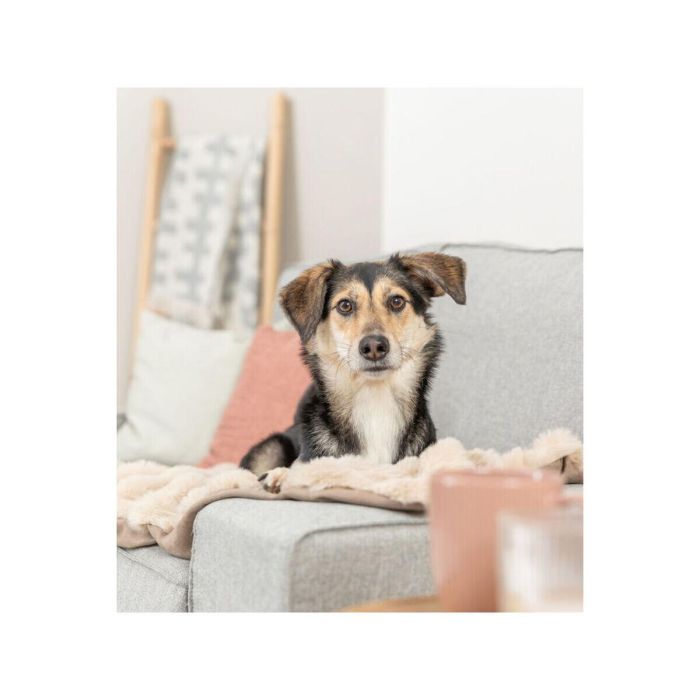 Manta para Mascotas Trixie Elli Arena Poliéster 150 x 100 cm 2 Manta para Mascotas Trixie Elli Arena Poliéster 150 x 100 cm 2