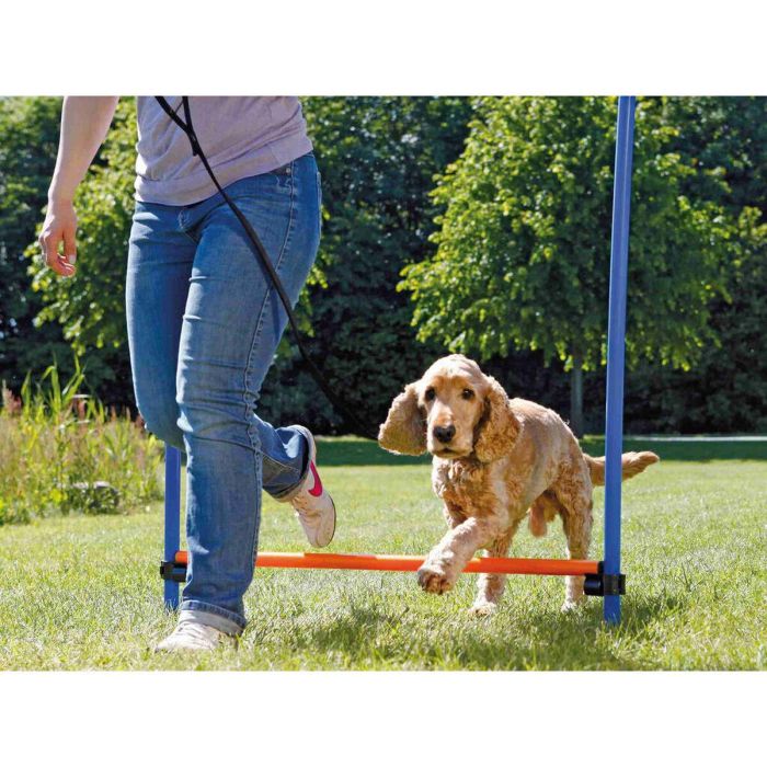 Juguete de adiestramiento Trixie 3