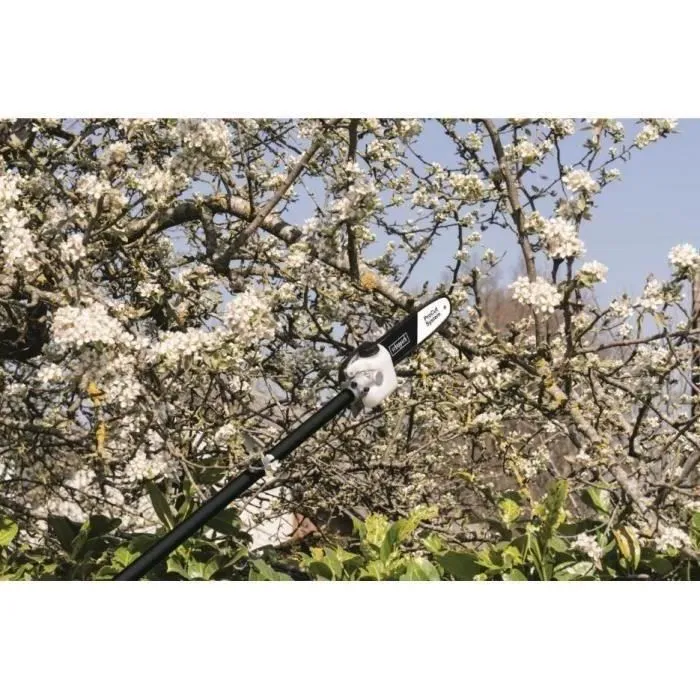 Scheppach Desbrozadora de Gasolina 52CC 4 en 1 (Desbrozadora, Podadora, Cortasetos, Bordeadora) 3