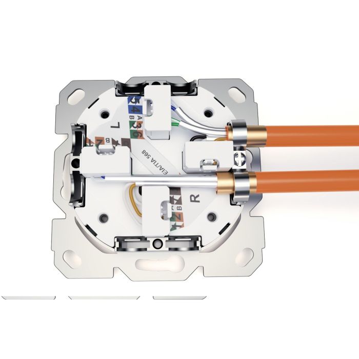 DIGITUS Netzwerkdose CAT 6A EA geschirmt 2xRJ45 weiß 1 DIGITUS Netzwerkdose CAT 6A EA geschirmt 2xRJ45 weiß 1