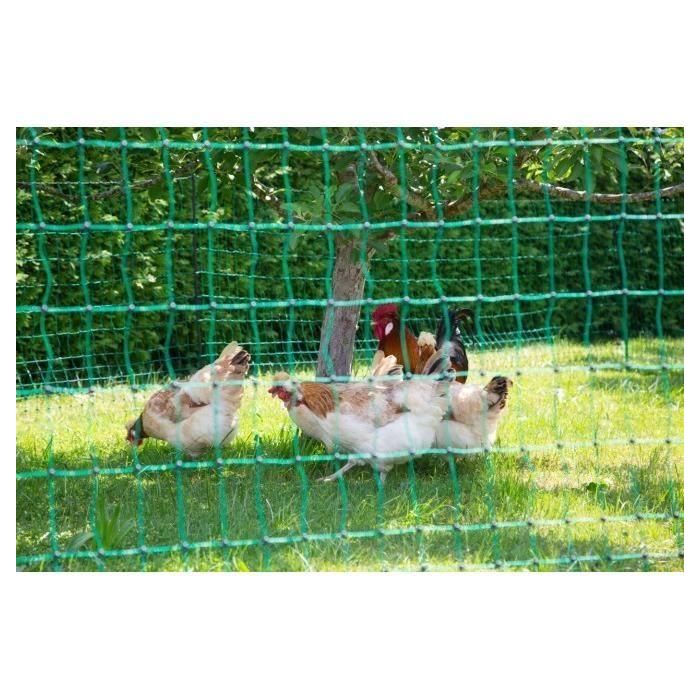 KERBL Red para pollos 50 m - 106 cm - doble punta - verde - no eléctrica 2 KERBL Red para pollos 50 m - 106 cm - doble punta - verde - no eléctrica 2