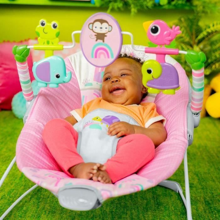 Hamaca para Bebé Bright Starts Rose 3 Hamaca para Bebé Bright Starts Rose 3