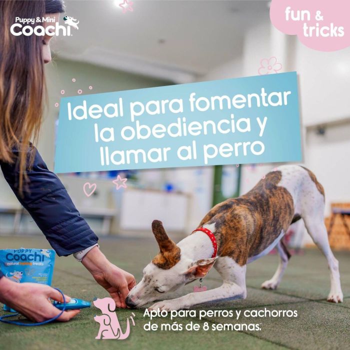 Arnés para Perro Coachi 3 Arnés para Perro Coachi 3