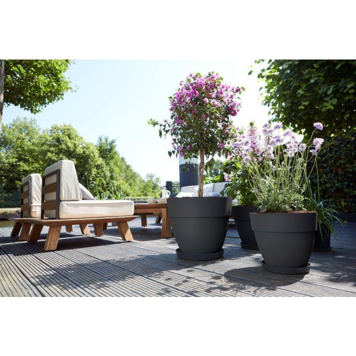 Elho 9220302142541 Set 2 Maceteros Redondos Vibia Campana + Loft con Plato - Ø29.8xH25.8cm - 22 L - Negro 2 Elho 9220302142541 Set 2 Maceteros Redondos Vibia Campana + Loft con Plato - Ø29.8xH25.8cm - 22 L - Negro 2