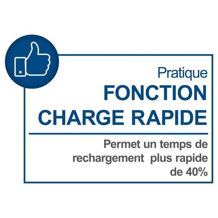 Cargador doble - SCHEPPACH - 4,5 A - SDBC4.5A - Carga simultáneamente dos baterías Li-ion de la gama Scheppach 20V IXES 2