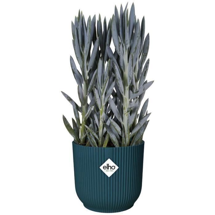 Vibes Redonda Flower Pot - Plastic - Ø22 - Azul oscuro 3 Vibes Redonda Flower Pot - Plastic - Ø22 - Azul oscuro 3