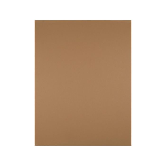Liderpapel Cartulina Marron Escolar 50x65 cm 180 gr Unidad Escolar para Dibujo y Manualidades 1