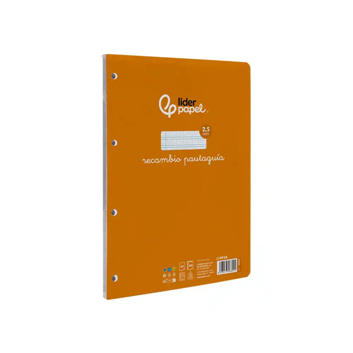 Liderpapel Recambio A4 PautaGuia 100 Hojas 75gr Cuadriculado Pautado 2,5mm con Margen y 4 Taladros 2 Liderpapel Recambio A4 PautaGuia 100 Hojas 75gr Cuadriculado Pautado 2,5mm con Margen y 4 Taladros 2