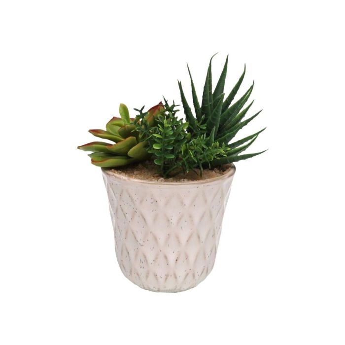 Planta Decorativa Versa Cerámica Plástico Fusion Suculenta 7,8 X 14 X 7,8 CM 1 Planta Decorativa Versa Cerámica Plástico Fusion Suculenta 7,8 X 14 X 7,8 CM 1