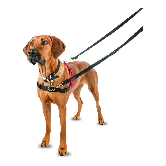 Halti Arnés de Control Delantero, ideal para Perros Medianos y Grandes, Talla L (cintura 80-120cm), Negro-Rojo 10
