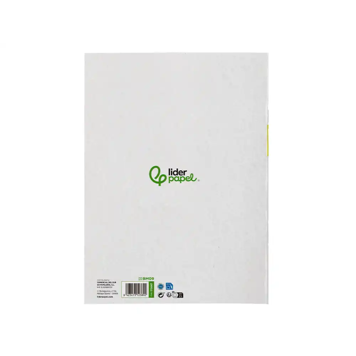 Liderpapel Bloc Música y Canto Din A4, Pentagrama 2mm, Cuadricula 5mm, 24 Hojas 100 g/m2 2