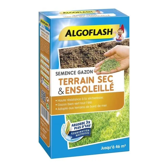 Algoflash Semillas de Hierba para Suelos Secos y Soleados - Calidad Profesional - 1 Kg 2