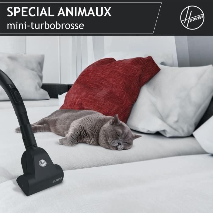 Aspirador de Bolsa con Bote - HOOVER Telios Extra TXL20PET - 700 W - 3,5 L - 69 dBA - Especial para Animales 5 Aspirador de Bolsa con Bote - HOOVER Telios Extra TXL20PET - 700 W - 3,5 L - 69 dBA - Especial para Animales 5