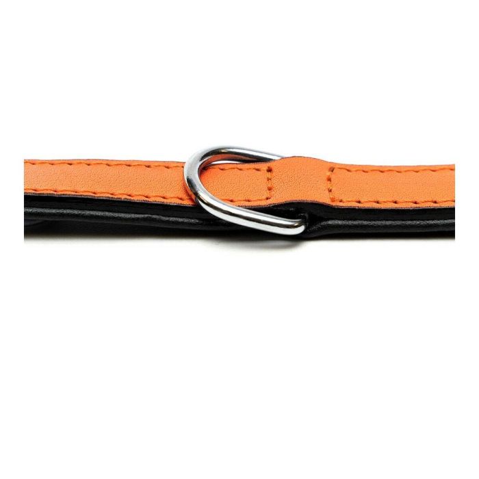 Collar para Perro Gloria Acolchado Naranja (40 x 2 cm) 1 Collar para Perro Gloria Acolchado Naranja (40 x 2 cm) 1