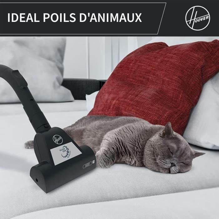 Aspirador de Bidón Sin Bolsa - HOOVER - HP320PET - 850 W - 2 L - 75 dBA - Especial para animales 3 Aspirador de Bidón Sin Bolsa - HOOVER - HP320PET - 850 W - 2 L - 75 dBA - Especial para animales 3