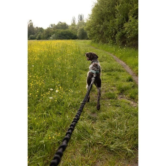 Correa de tracción para perros - CLASSICA - XL - 2,4 m - Perros hasta 25 kg 2 Correa de tracción para perros - CLASSICA - XL - 2,4 m - Perros hasta 25 kg 2