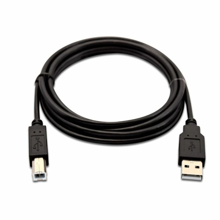 Cable USB A a USB B V7 V7USB2AB-02M-1E Negro