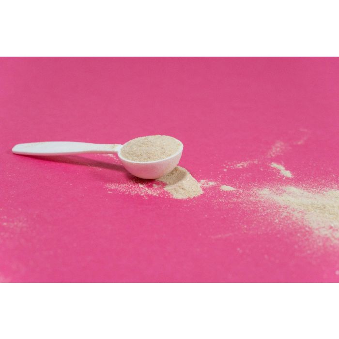 Supplepets Renal Protector 100 gr Alimento Complementario para la Función Renal España 3