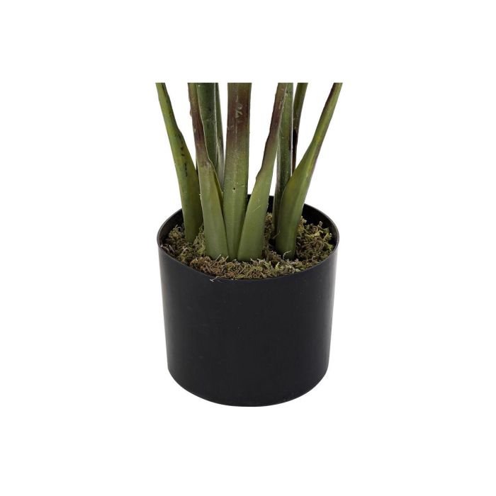 Planta Urban DKD Home Decor Verde 40 x 115 x 40 cm 2 Planta Urban DKD Home Decor Verde 40 x 115 x 40 cm 2