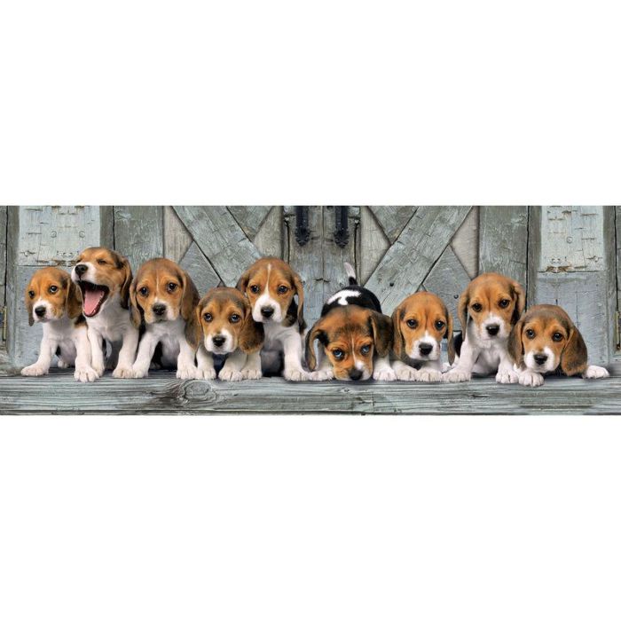 Puzzle Panorama Beagles 1000pzs 0 Puzzle Panorama Beagles 1000pzs 0