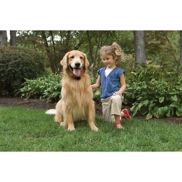 PETSAFE - Valla anti-fugitivo - Para perros 1 PETSAFE - Valla anti-fugitivo - Para perros 1