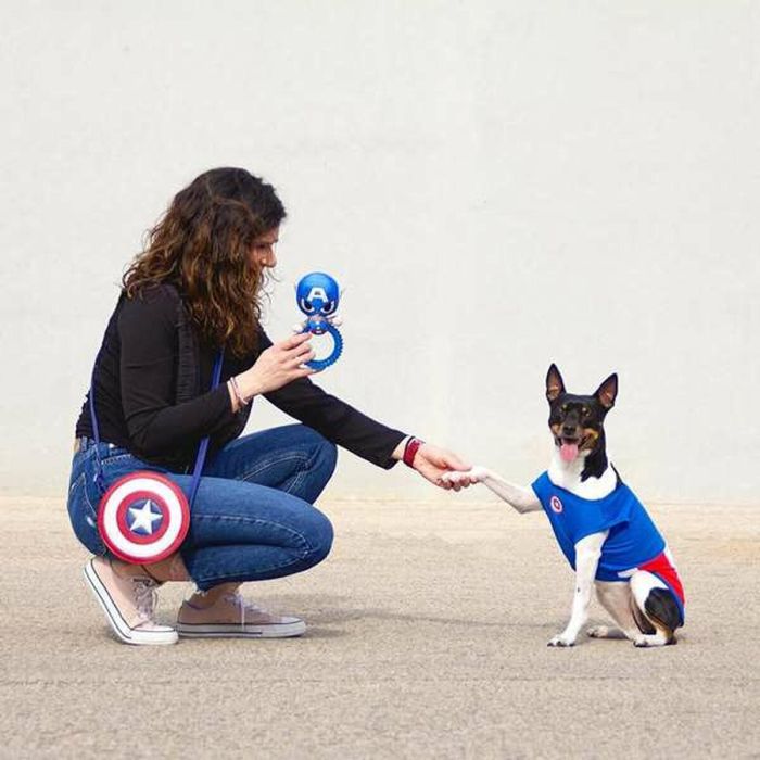 Mordedor para perro avengers capitan america 7.0 x 10.0 x 20.0 cm 10 Mordedor para perro avengers capitan america 7.0 x 10.0 x 20.0 cm 10
