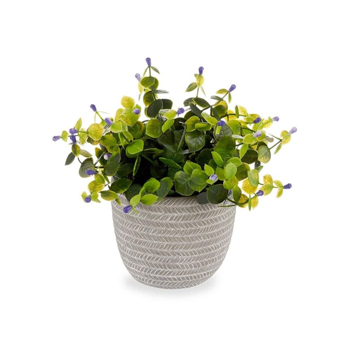 Planta Verde con Flor Lila y Maceta Gris Ibergarden 21x20.6x21 cm (8 Unidades) 1 Planta Verde con Flor Lila y Maceta Gris Ibergarden 21x20.6x21 cm (8 Unidades) 1