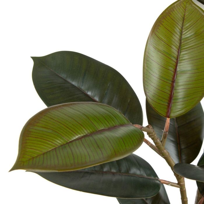 Planta Decorativa PVC Hierro Ficus 49 x 45 x 125 cm 2