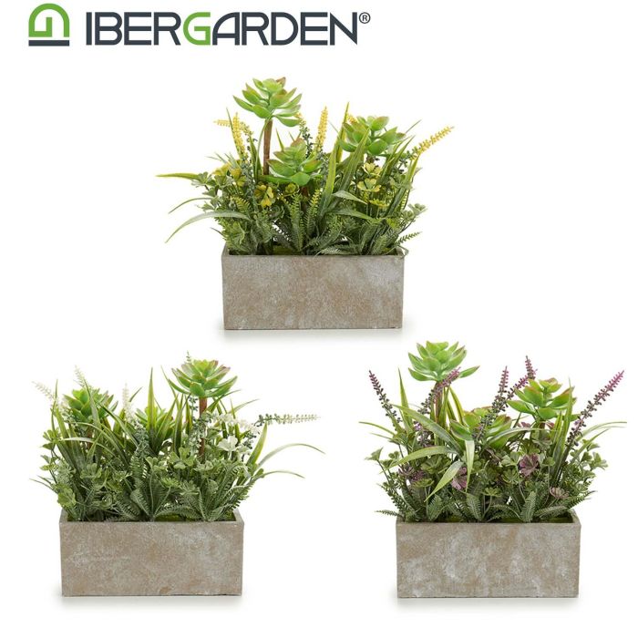 Jardin Artif Flor Maceta Rectan Cemem Surtidos Ibergarden 17X23CM (8 Unidades) 2 Jardin Artif Flor Maceta Rectan Cemem Surtidos Ibergarden 17X23CM (8 Unidades) 2