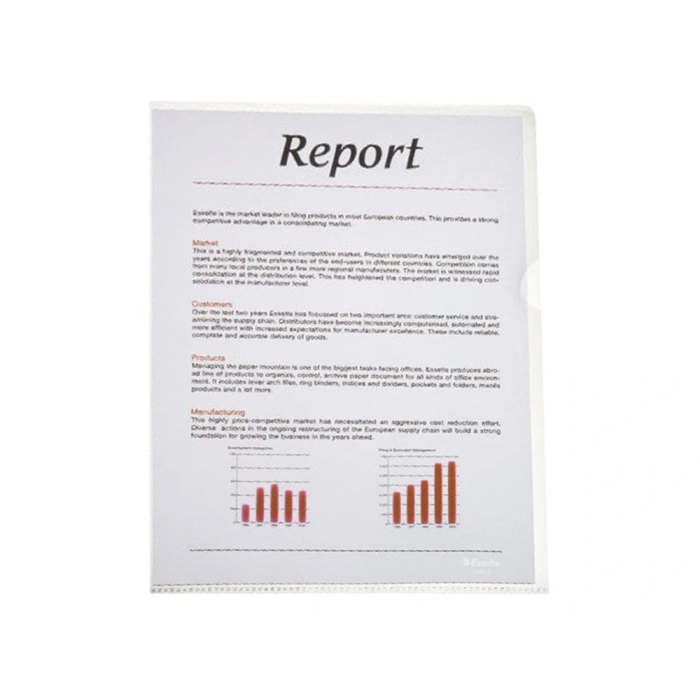 Esselte Carpeta Dossier Uñero Plástico Folio Translúcido 1