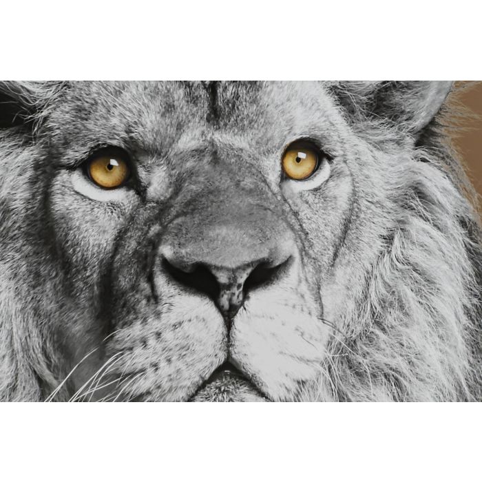 DKD Home Decor Cuadro Colonial Multicolor Negro Cristal y PS 67 x 3 x 93 cm (3 Unidades) 3